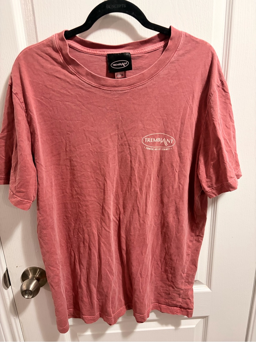 Short-Sleeve Tee in Dusty Rose vintage washed y2k casual men’s vacation